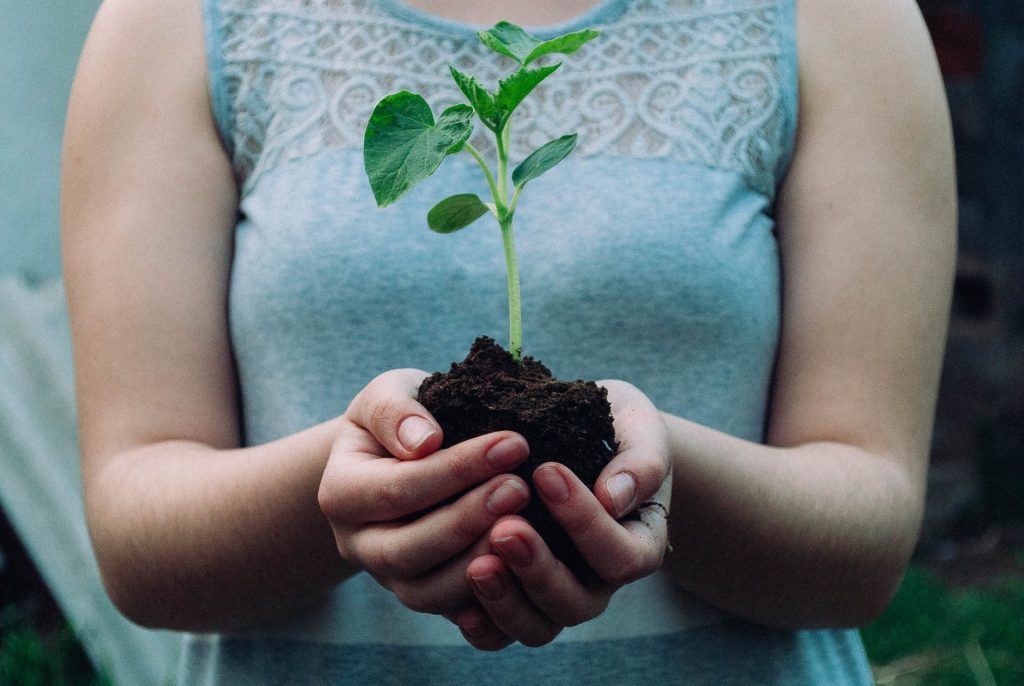 woman holding a small plant rooted in soil in both hands